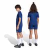 ADIJZ6532-000_7.jpg ADIJZ6532-000_7.jpg