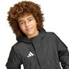 ADIJZ6666-000_4.jpg ADIJZ6666-000_4.jpg