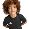 ADIJZ6671-000_4.jpg ADIJZ6671-000_4.jpg