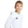 ADIJZ6561-000_4.jpg ADIJZ6561-000_4.jpg