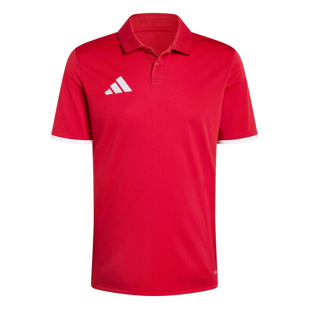 adidas Entrada 26 Polo - tepore/white