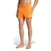 ADIKA4909-000_1.jpg ADIKA4909-000_1.jpg