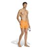 ADIKA4909-000_3.jpg ADIKA4909-000_3.jpg