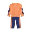 ADIKB9627-000.jpg