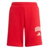 ADIKC4577-000.jpg ADIKC4577-000.jpg