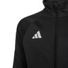 ADIKC7173-000_7.jpg ADIKC7173-000_7.jpg