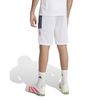ADIKD6433-000_8.jpg
