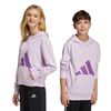 ADIKD8453-000_7.jpg ADIKD8453-000_7.jpg