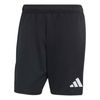 ADIKF5954-000.jpg ADIKF5954-000.jpg