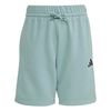 ADIKG5194-000.jpg ADIKG5194-000.jpg