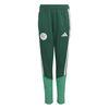 ADIJZ0215-000.jpg ADIJZ0215-000.jpg