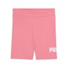 PU684902-025.jpg PU684902-025.jpg