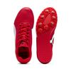 PU310796-006_3.jpg PU310796-006_3.jpg