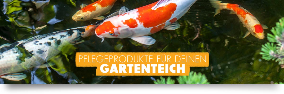 AQUAbasics Gartenteich Pflege-Produkte