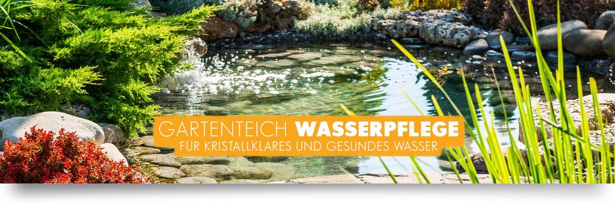 AQUAbasics Wasserpflege für Ihren Gartenteich