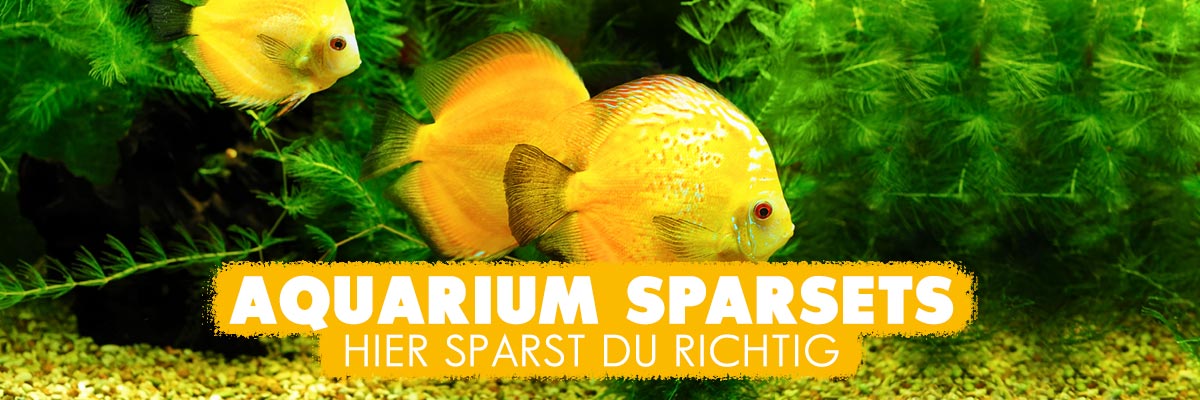 AQUAbasics Aquarium Sparsets