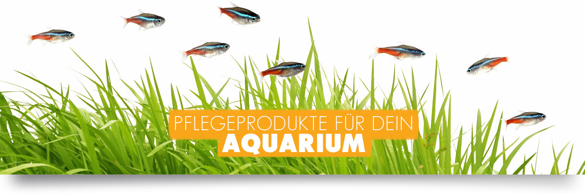 aquabasics Aquarium Pflege-Produkte