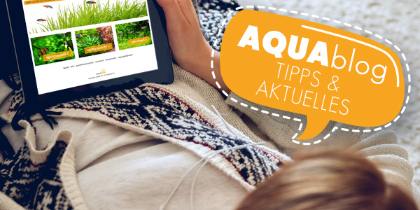 AQUAblog
