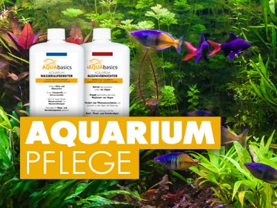 AQUARIUM