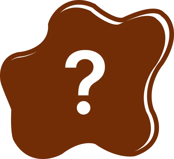 image.webp