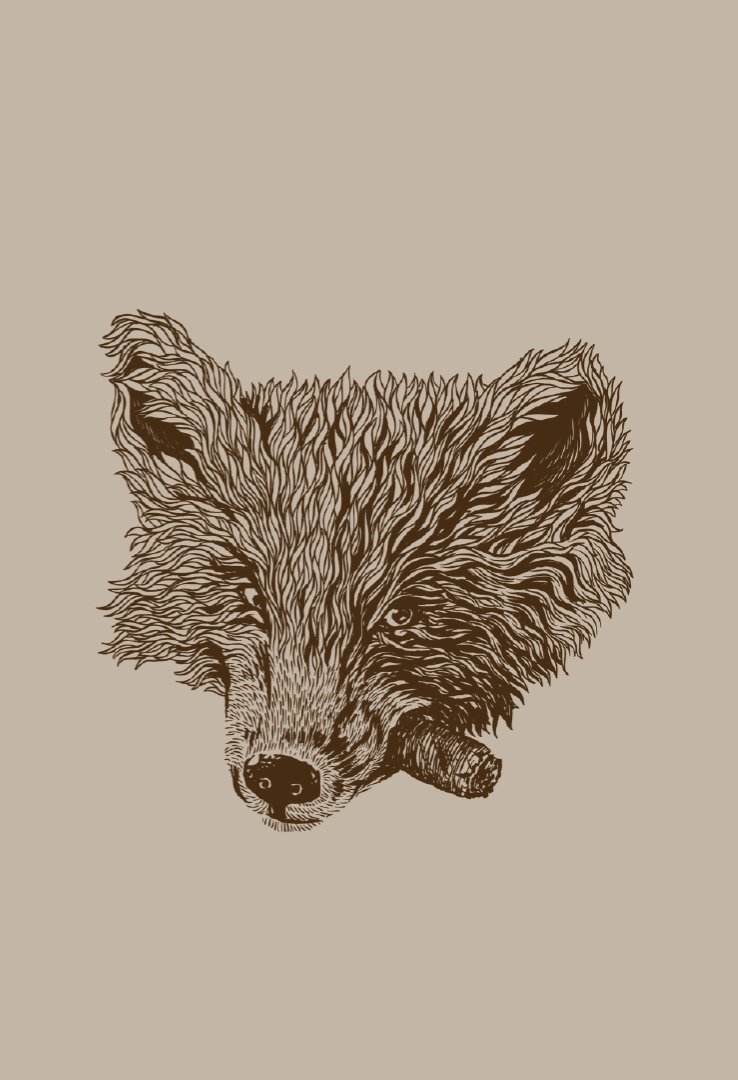 Print T-Shirt Smoking Fox