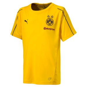 Puma BVB Borussia Dortmund - Kinder Training Jersey mit Sponsor - 753359-01 gelb