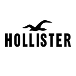 Hollister Logo