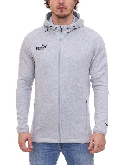 PUMA teamFINAL Casuals hooded jacket men s jacket with DRYCELL 657383 33 Grey