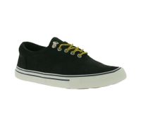 SPERRY Striper Storm CVO Sneaker für Herren Echtleder mit Wechselfußbett Braun oder Schwarz SPERRY Striper Storm CVO Sneaker für Herren Echtleder mit Wechselfußbett Braun oder Schwarz