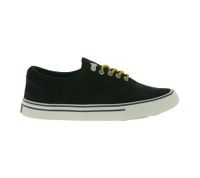SPERRY Striper Storm CVO Sneaker für Herren Echtleder mit Wechselfußbett Braun oder Schwarz SPERRY Striper Storm CVO Sneaker für Herren Echtleder mit Wechselfußbett Braun oder Schwarz