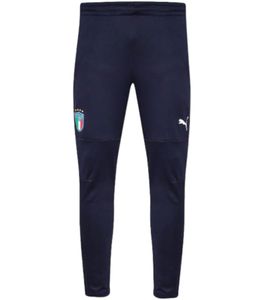 PUMA Figc Italy pantalon d'entraînement pour hommes avec fonction dryCELL pantalon de sport joggers 767089 04 bleu
