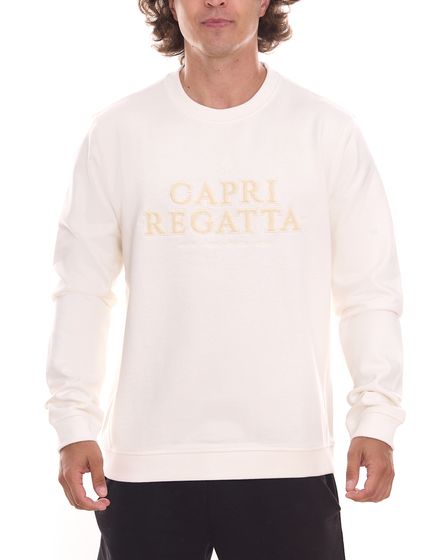 Gaastra Scala men's cotton sweater fashionable round neck sweater with front embroidery 355339241 W004 Beige