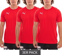 Pack de 3 Puma TeamGOAL 23 Chemise décontractée en coton pour hommes avec logo brodé, T-shirt simple 656578 chemise de sport et de loisirs Pack de 3 Puma TeamGOAL 23 Chemise décontractée en coton pour hommes avec logo brodé, T-shirt simple 656578 chemise de sport et de loisirs