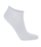 36 paia di calzini da sneaker TASTIQ, calzini semplici di cotone in confezione regalo, calzini sportivi, calze, neri, grigi o bianchi 36 paia di calzini da sneaker TASTIQ, calzini semplici di cotone in confezione regalo, calzini sportivi, calze, neri, grigi o bianchi