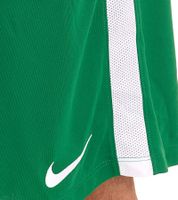 NIKE League Knitt Men's Training Shorts with Dri-FIT Technology Sports Pants BV6852 White, Green or Blue
