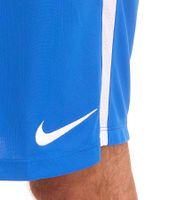 NIKE League Knitt Men's Training Shorts with Dri-FIT Technology Sports Pants BV6852 White, Green or Blue