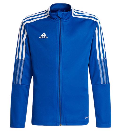 adidas TIRO 21 men's training jacket sustainable football jacket sports jacket fitness clothing GM7320 blue