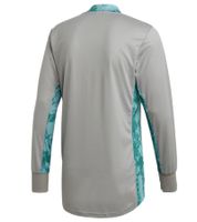 adidas AdiPro 20 men's sustainable goalkeeper jersey long-sleeved shirt fitness sweater FI4196 gray/green