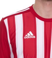 adidas Striped 21 Herren Sport-Shirt nachhaltiges Trainings-Shirt mit AEROREADY-Technologie gestreiftes Fitness-Oberteil GN7624 Rot/Weiß adidas Striped 21 Herren Sport-Shirt nachhaltiges Trainings-Shirt mit AEROREADY-Technologie gestreiftes Fitness-Oberteil GN7624 Rot/Weiß