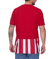 adidas Striped 21 Herren Sport-Shirt nachhaltiges Trainings-Shirt mit AEROREADY-Technologie gestreiftes Fitness-Oberteil GN7624 Rot/Weiß adidas Striped 21 Herren Sport-Shirt nachhaltiges Trainings-Shirt mit AEROREADY-Technologie gestreiftes Fitness-Oberteil GN7624 Rot/Weiß