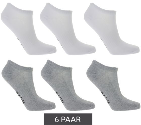 6 Paar TASTIQ Sneaker-Socken schlichte Baumwoll-Socken in Geschenkbox Sport-Socken Weiß/Grau