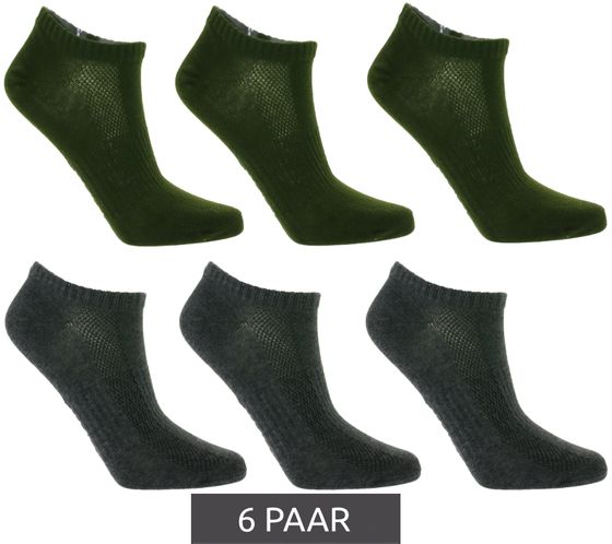 6 Paar TASTIQ Sneaker-Socken schlichte Baumwoll-Socken in Geschenkbox Sport-Socken Dunkelgrün/Dunkelgrau