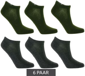 6 Paar TASTIQ Sneaker-Socken schlichte Baumwoll-Socken in Geschenkbox Sport-Socken Dunkelgrün/Dunkelgrau 6 Paar TASTIQ Sneaker-Socken schlichte Baumwoll-Socken in Geschenkbox Sport-Socken Dunkelgrün/Dunkelgrau