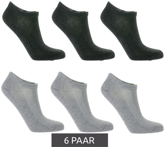 6 Paar TASTIQ Sneaker-Socken schlichte Baumwoll-Socken in Geschenkbox Sport-Socken Hellgrau/Dunkelgrau