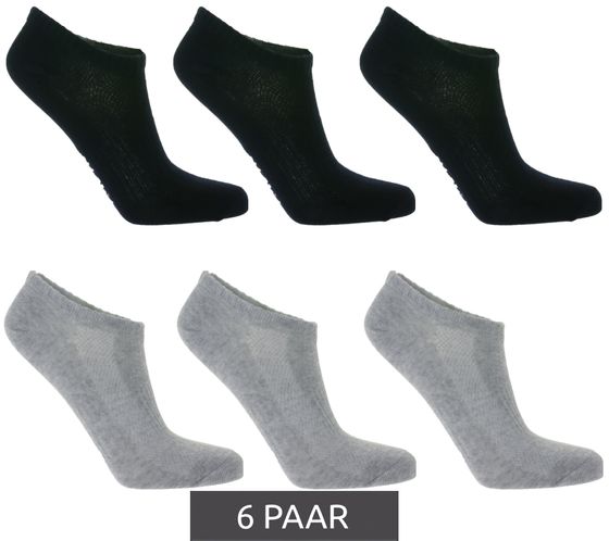 6 Paar TASTIQ Sneaker-Socken schlichte Baumwoll-Socken in Geschenkbox Sport-Socken Navy/Hellgrau