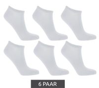 6 Paar TASTIQ Sneaker-Socken schlichte Baumwoll-Socken in Geschenkbox Sport-Socken Grau, Schwarz, Weiß, Blau, Grün oder Rosa
