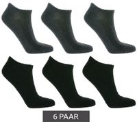 6 Paar TASTIQ Sneaker-Socken schlichte Baumwoll-Socken in Geschenkbox Sport-Socken Grau, Schwarz, Weiß, Blau, Grün oder Rosa