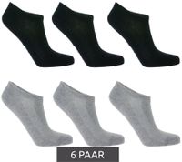 6 Paar TASTIQ Sneaker-Socken schlichte Baumwoll-Socken in Geschenkbox Sport-Socken Grau, Schwarz, Weiß, Blau, Grün oder Rosa