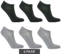 6 Paar TASTIQ Sneaker-Socken schlichte Baumwoll-Socken in Geschenkbox Sport-Socken Grau, Schwarz, Weiß, Blau, Grün oder Rosa