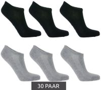 30 Paar TASTIQ Sneaker-Socken schlichte Baumwoll-Socken in Geschenkbox Sport-Socken Grau, Schwarz, Weiß, Blau, Grün oder Rosa